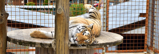 ZOO Faunapark